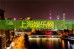 上海夜景之旅:霓虹灯下的浪漫与绚丽 上海夜景之旅:霓虹灯下的浪漫与绚丽