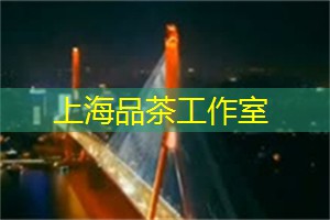 了解上海的网络文化发展 了解上海的网络文化发展